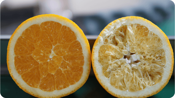 orange internal