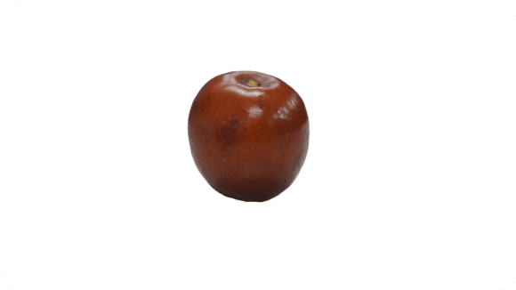 red winter jujube